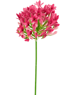 Kunstig Agapanthus Staude Rosa 75cm