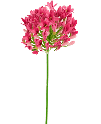 Kunstig Agapanthus Staude Rosa 75cm