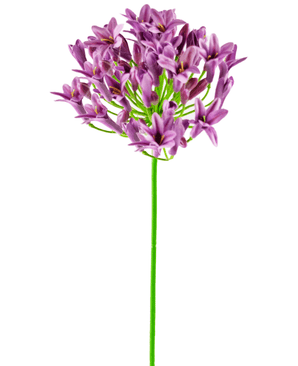 Kunstig Agapanthus blomst lilla 75cm