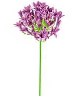 Kunstig Agapanthus blomst lilla 75cm