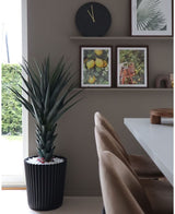 Kunstig Agave Pandora UV 120cm