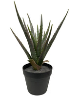 Kunstig Agave Plante UV 55 cm