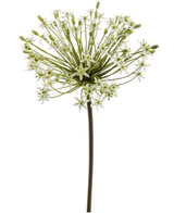 Kunstig Allium Stilk Hvit 90cm