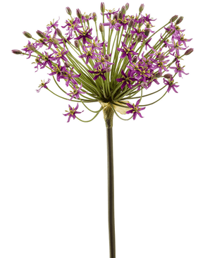 Kunstig Allium Stilk MørkLilla 90cm