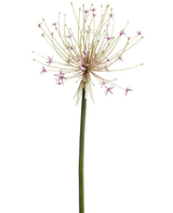 Kunstig Allium Stilk Rosa 105cm