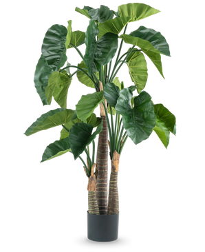 Kunstig Alocasia 150cm