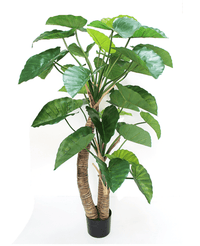 Kunstig Alocasia 180 cm