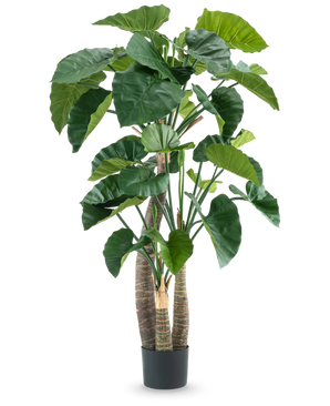 Kunstig Alocasia 180cm