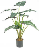 Kunstig Alocasia 67cm