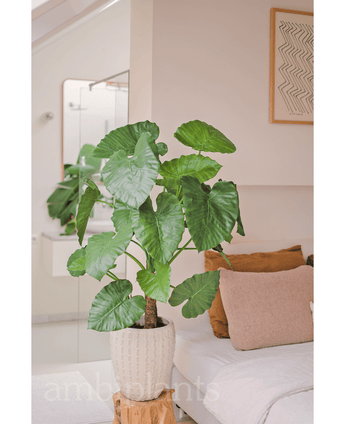 Kunstig Alocasia Calidora 120cm