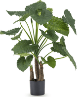 Kunstig Alocasia Calidora 120cm