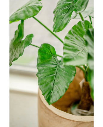 Kunstig Alocasia Calidora 80cm