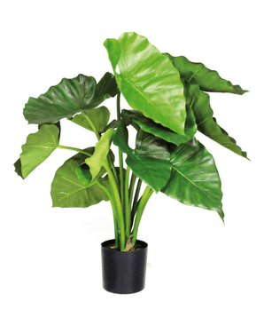 Kunstig Alocasia Elefantøre 70cm