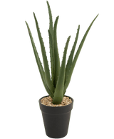 Kunstig Aloe Vera i Potte 33cm