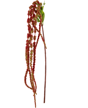 Kunstig Amaranthus Stilk Vinrød 122cm