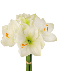 Kunstig Amaryllisblomst Hvit 36cm