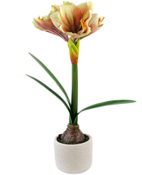 Kunstig Amaryllis Rød/gul i Potte 48cm