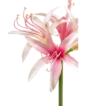 Kunstig Amaryllis Stilk Rosa 73cm