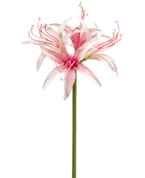 Kunstig Amaryllis Stilk Rosa 73cm