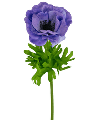 Kunstig Anemone Real Touch Blålilla 52cm