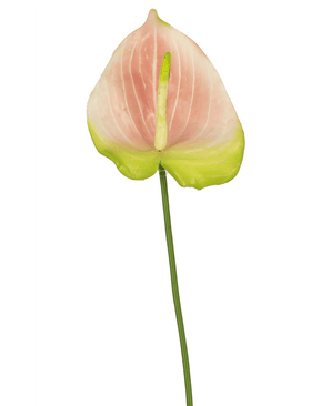 Kunstig Anthurium Rosa 65cm