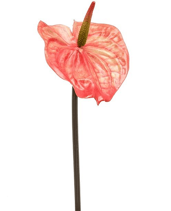 Kunstig Anthurium Stilk Oransje 65cm