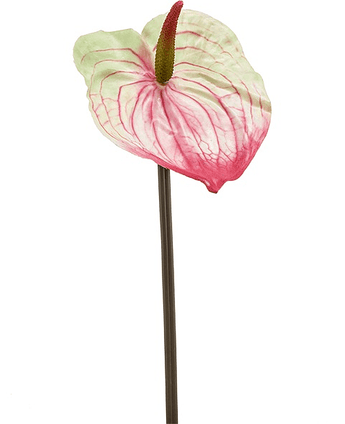 Kunstig Anthurium Stilk grønnrosa 65cm