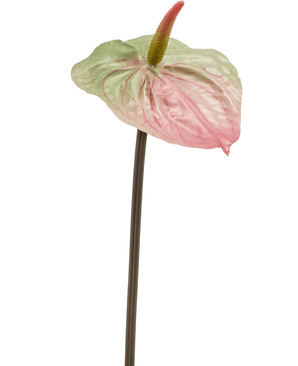 Kunstig Anthurium Stilk lysrosa/grønn 65cm