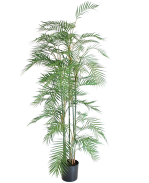 Kunstig Areca Fjær-Palme 180 cm