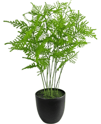 Kunstig Asparges Plante Grønn 59cm