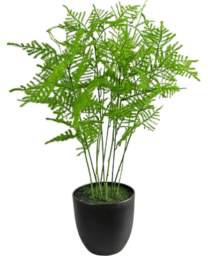 Kunstig Asparges Plante Grønn 59cm