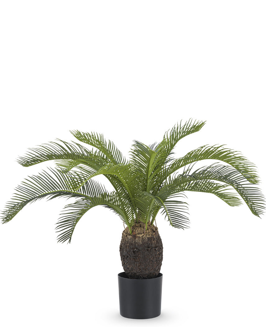 Kunstig Baby Cycas Palme UV 60cm
