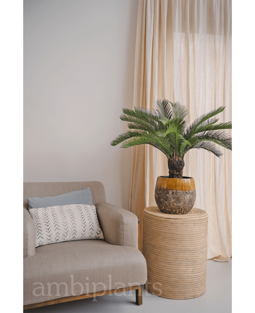 Kunstig Baby Cycas Palme UV 80cm