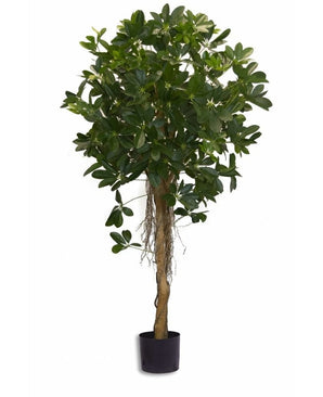 Kunstig Baby Schefflera 150cm