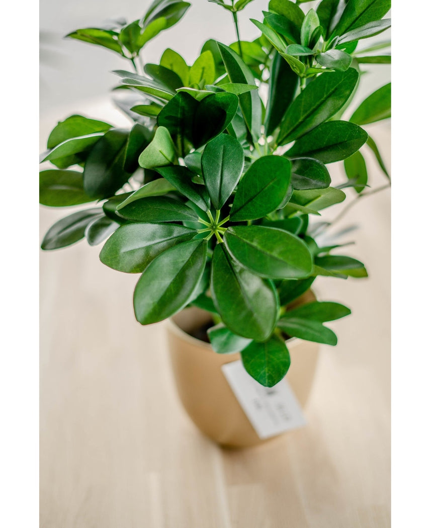 Kunstig Baby Schefflera i Potte 45cm