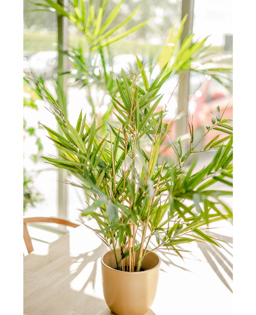 Kunstig Bambus Royal 70cm