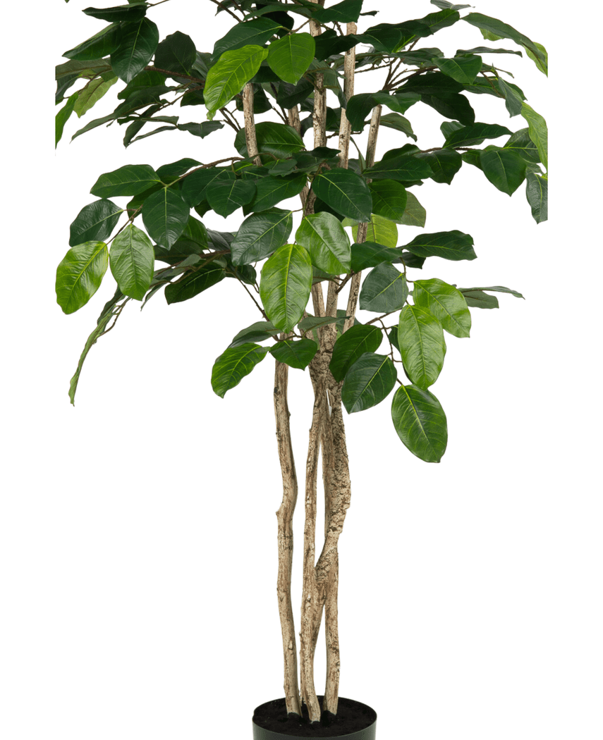 Kunstig Banyan Fikentre 150cm