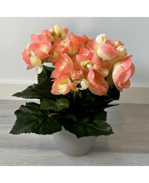 Kunstig Begonia Fersken/Rosa i Potte 25cm