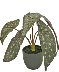 Kunstig Begonia Maculata Mini 26 cm