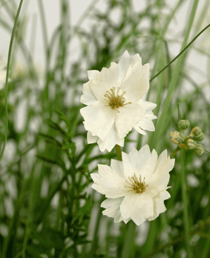 Kunstig Blomstergress Hvit 90 cm brannhemmende