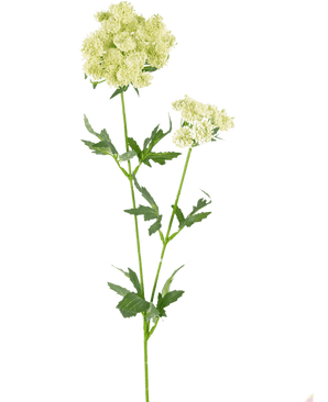 Kunstig Blondeblomst Hvit 76 cm
