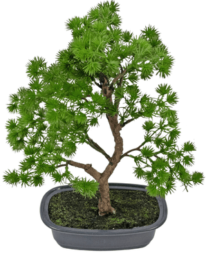 Kunstig Bonsai Einer 30cm