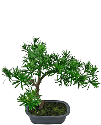 Kunstig Bonsai Podocarpus 40cm