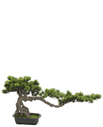 tre bonsai Kunstig Bonsai Tre UV 45 cm – ambiplants.no