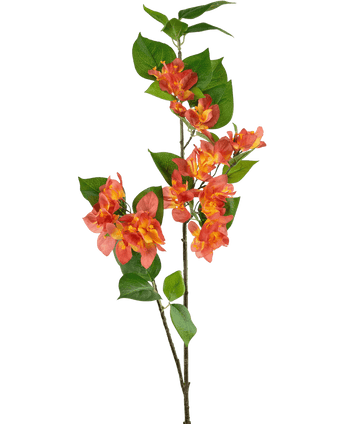 Kunstig Bougainvillea Gren Fersken 81cm