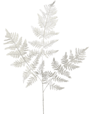 Kunstig Bregnegren Sølv 78cm