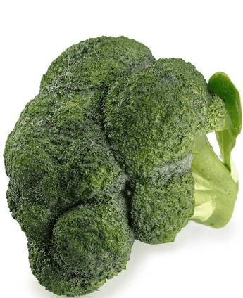 Kunstig Broccoli 13cm