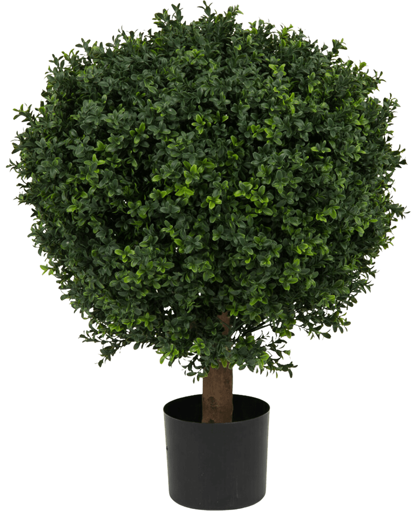 Kunstig Buksbom Ball På Stamme Romerstil 75cm