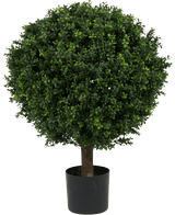 Kunstig Buksbom Ball På Stamme Romerstil 85cm