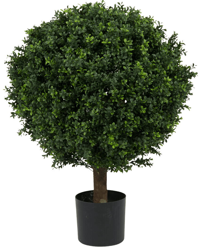 Kunstig Buksbom Ball På Stamme Romerstil 85cm